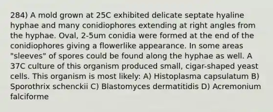 284) A mold grown at 25C exhibited delicate septate hyaline hyphae and many conidiophores extending at right angles from the hyphae. Oval, 2-5um conidia were formed at the end of the conidiophores giving a flowerlike appearance. In some areas "sleeves" of spores could be found along the hyphae as well. A 37C culture of this organism produced small, cigar-shaped yeast cells. This organism is most likely: A) Histoplasma capsulatum B) Sporothrix schenckii C) Blastomyces dermatitidis D) Acremonium falciforme