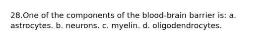 28.One of the components of the blood-brain barrier is: a. astrocytes. b. neurons. c. myelin. d. oligodendrocytes.