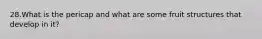 28.What is the pericap and what are some fruit structures that develop in it?