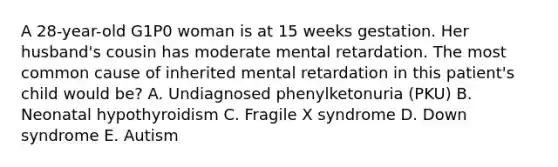 A 28-year-old G1P0 woman is at 15 weeks gestation. Her husband's cousin has moderate mental retardation. The most common cause of inherited mental retardation in this patient's child would be? A. Undiagnosed phenylketonuria (PKU) B. Neonatal hypothyroidism C. Fragile X syndrome D. Down syndrome E. Autism