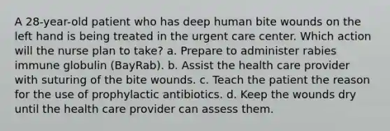 A 28-year-old patient who has deep human bite wounds on the left hand is being treated in the urgent care center. Which action will the nurse plan to take? a. Prepare to administer rabies immune globulin (BayRab). b. Assist the health care provider with suturing of the bite wounds. c. Teach the patient the reason for the use of prophylactic antibiotics. d. Keep the wounds dry until the health care provider can assess them.