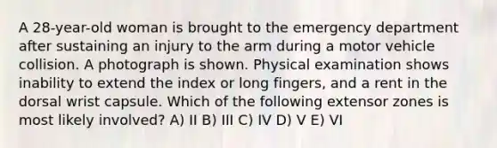 A 28-year-old woman is brought to the emergency department after sustaining an injury to the arm during a motor vehicle collision. A photograph is shown. Physical examination shows inability to extend the index or long fingers, and a rent in the dorsal wrist capsule. Which of the following extensor zones is most likely involved? A) II B) III C) IV D) V E) VI