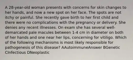 A 28-year-old woman presents with concerns for skin changes to her hands, and now a new spot on her face. The spots are not itchy or painful. She recently gave birth to her first child and there were no complications with the pregnancy or delivery. She denies any recent illnesses. On exam she has several well-demarcated pale macules between 1-4 cm in diameter on both of her hands and one near her lips, concerning for vitiligo. Which of the following mechanisms is most likely responsible for pathogenesis of this disease? AAutoimmuneAnswer BGenetic CInfectious DNeoplastic