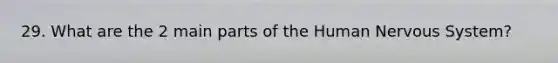 29. What are the 2 main parts of the Human Nervous System?