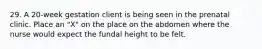 29. A 20-week gestation client is being seen in the prenatal clinic. Place an "X" on the place on the abdomen where the nurse would expect the fundal height to be felt.