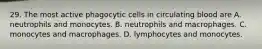 29. The most active phagocytic cells in circulating blood are A. neutrophils and monocytes. B. neutrophils and macrophages. C. monocytes and macrophages. D. lymphocytes and monocytes.