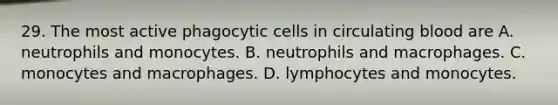 29. The most active phagocytic cells in circulating blood are A. neutrophils and monocytes. B. neutrophils and macrophages. C. monocytes and macrophages. D. lymphocytes and monocytes.