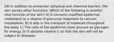 29) In addition to protection (physical and chemical barrier), the skin serves other functions. Which of the following is another vital function of the skin? A) It converts modified epidermal cholesterol to a vitamin D precursor important to calcium metabolism. B) It aids in the transport of materials throughout the body. C) The cells of the epidermis store glucose as glycogen for energy. D) It absorbs vitamin C so that the skin will not be subject to diseases.