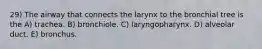 29) The airway that connects the larynx to the bronchial tree is the A) trachea. B) bronchiole. C) laryngopharynx. D) alveolar duct. E) bronchus.