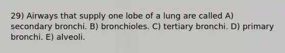 29) Airways that supply one lobe of a lung are called A) secondary bronchi. B) bronchioles. C) tertiary bronchi. D) primary bronchi. E) alveoli.