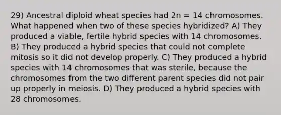 29) Ancestral diploid wheat species had 2n = 14 chromosomes. What happened when two of these species hybridized? A) They produced a viable, fertile hybrid species with 14 chromosomes. B) They produced a hybrid species that could not complete mitosis so it did not develop properly. C) They produced a hybrid species with 14 chromosomes that was sterile, because the chromosomes from the two different parent species did not pair up properly in meiosis. D) They produced a hybrid species with 28 chromosomes.