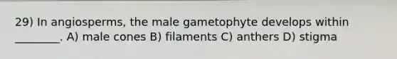 29) In angiosperms, the male gametophyte develops within ________. A) male cones B) filaments C) anthers D) stigma