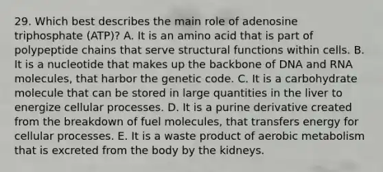 29. Which best describes the main role of adenosine triphosphate (ATP)? A. It is an amino acid that is part of polypeptide chains that serve structural functions within cells. B. It is a nucleotide that makes up the backbone of DNA and RNA molecules, that harbor the genetic code. C. It is a carbohydrate molecule that can be stored in large quantities in the liver to energize cellular processes. D. It is a purine derivative created from the breakdown of fuel molecules, that transfers energy for cellular processes. E. It is a waste product of aerobic metabolism that is excreted from the body by the kidneys.