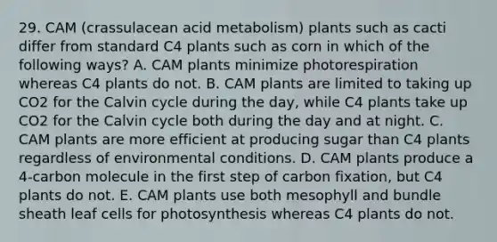 29. CAM (crassulacean acid metabolism) plants such as cacti differ from standard C4 plants such as corn in which of the following ways? A. CAM plants minimize photorespiration whereas C4 plants do not. B. CAM plants are limited to taking up CO2 for the Calvin cycle during the day, while C4 plants take up CO2 for the Calvin cycle both during the day and at night. C. CAM plants are more efficient at producing sugar than C4 plants regardless of environmental conditions. D. CAM plants produce a 4-carbon molecule in the first step of carbon fixation, but C4 plants do not. E. CAM plants use both mesophyll and bundle sheath leaf cells for photosynthesis whereas C4 plants do not.