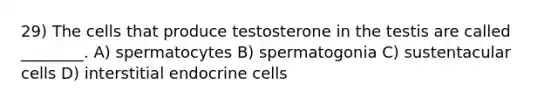 29) The cells that produce testosterone in the testis are called ________. A) spermatocytes B) spermatogonia C) sustentacular cells D) interstitial endocrine cells