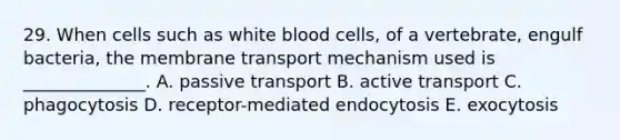 29. When cells such as white blood cells, of a vertebrate, engulf bacteria, the membrane transport mechanism used is ______________. A. passive transport B. active transport C. phagocytosis D. receptor-mediated endocytosis E. exocytosis