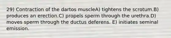 29) Contraction of the dartos muscleA) tightens the scrotum.B) produces an erection.C) propels sperm through the urethra.D) moves sperm through the ductus deferens. E) initiates seminal emission.