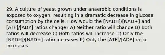 29. A culture of yeast grown under anaerobic conditions is exposed to oxygen, resulting in a dramatic decrease in glucose consumption by the cells. How would the [NADH]/[NAD+] and [ATP]/[ADP] ratios change? A) Neither ratio will change B) Both ratios will decrease C) Both ratios will increase D) Only the [NADH]/[NAD+] ratio increases E) Only the [ATP]/[ADP] ratio increases