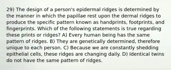 29) The design of a person's epidermal ridges is determined by the manner in which the papillae rest upon the dermal ridges to produce the specific pattern known as handprints, footprints, and fingerprints. Which of the following statements is true regarding these prints or ridges? A) Every human being has the same pattern of ridges. B) They are genetically determined, therefore unique to each person. C) Because we are constantly shedding epithelial cells, these ridges are changing daily. D) Identical twins do not have the same pattern of ridges.