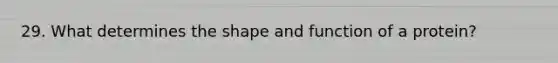 29. What determines the shape and function of a protein?