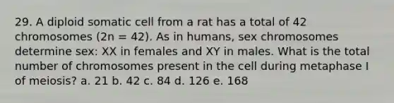 29. A diploid somatic cell from a rat has a total of 42 chromosomes (2n = 42). As in humans, sex chromosomes determine sex: XX in females and XY in males. What is the total number of chromosomes present in the cell during metaphase I of meiosis? a. 21 b. 42 c. 84 d. 126 e. 168