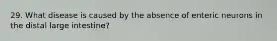 29. What disease is caused by the absence of enteric neurons in the distal large intestine?