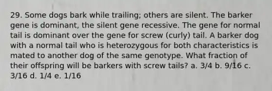 29. Some dogs bark while trailing; others are silent. The barker gene is dominant, the silent gene recessive. The gene for normal tail is dominant over the gene for screw (curly) tail. A barker dog with a normal tail who is heterozygous for both characteristics is mated to another dog of the same genotype. What fraction of their offspring will be barkers with screw tails? a. 3/4 b. 9/16 c. 3/16 d. 1/4 e. 1/16