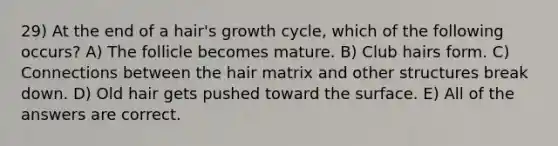 29) At the end of a hair's growth cycle, which of the following occurs? A) The follicle becomes mature. B) Club hairs form. C) Connections between the hair matrix and other structures break down. D) Old hair gets pushed toward the surface. E) All of the answers are correct.