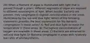 29) When a filament of algae is illuminated with light that is passed through a prism, different segments of algae are exposed to different wavelengths of light. When aerobic bacteria are present, they congregate in highest concentrations in the areas illuminated by the red and blue light. Which of the following statements provides the best explanation for the bacteria congregation in these areas? A) Red and blue light increase the temperature in these areas. B) The highest concentrations of oxygen are available in these areas. C) Bacteria are attracted to red and blue light. D) Bacteria congregate in areas with relatively low rates of photosynthesis.