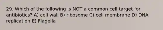 29. Which of the following is NOT a common cell target for antibiotics? A) cell wall B) ribosome C) cell membrane D) DNA replication E) Flagella