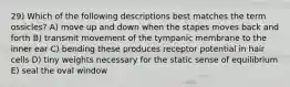 29) Which of the following descriptions best matches the term ossicles? A) move up and down when the stapes moves back and forth B) transmit movement of the tympanic membrane to the inner ear C) bending these produces receptor potential in hair cells D) tiny weights necessary for the static sense of equilibrium E) seal the oval window