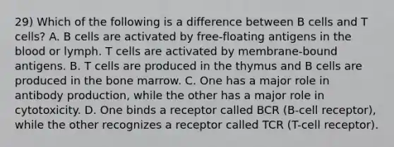 29) Which of the following is a difference between B cells and T cells? A. B cells are activated by free-floating antigens in the blood or lymph. T cells are activated by membrane-bound antigens. B. T cells are produced in the thymus and B cells are produced in the bone marrow. C. One has a major role in antibody production, while the other has a major role in cytotoxicity. D. One binds a receptor called BCR (B-cell receptor), while the other recognizes a receptor called TCR (T-cell receptor).