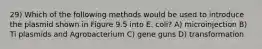 29) Which of the following methods would be used to introduce the plasmid shown in Figure 9.5 into E. coli? A) microinjection B) Ti plasmids and Agrobacterium C) gene guns D) transformation