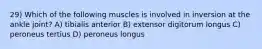 29) Which of the following muscles is involved in inversion at the ankle joint? A) tibialis anterior B) extensor digitorum longus C) peroneus tertius D) peroneus longus