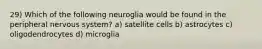 29) Which of the following neuroglia would be found in the peripheral nervous system? a) satellite cells b) astrocytes c) oligodendrocytes d) microglia