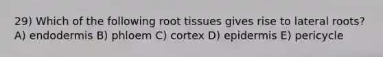 29) Which of the following root tissues gives rise to lateral roots? A) endodermis B) phloem C) cortex D) epidermis E) pericycle