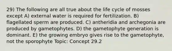 29) The following are all true about the life cycle of mosses except A) external water is required for fertilization. B) flagellated sperm are produced. C) antheridia and archegonia are produced by gametophytes. D) the gametophyte generation is dominant. E) the growing embryo gives rise to the gametophyte, not the sporophyte Topic: Concept 29.2