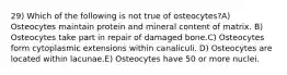 29) Which of the following is not true of osteocytes?A) Osteocytes maintain protein and mineral content of matrix. B) Osteocytes take part in repair of damaged bone.C) Osteocytes form cytoplasmic extensions within canaliculi. D) Osteocytes are located within lacunae.E) Osteocytes have 50 or more nuclei.