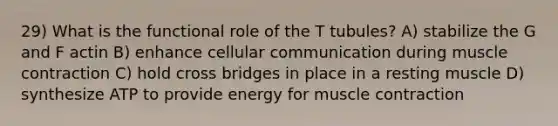 29) What is the functional role of the T tubules? A) stabilize the G and F actin B) enhance cellular communication during muscle contraction C) hold cross bridges in place in a resting muscle D) synthesize ATP to provide energy for muscle contraction