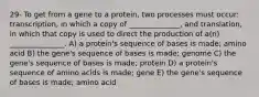 29- To get from a gene to a protein, two processes must occur: transcription, in which a copy of ______________, and translation, in which that copy is used to direct the production of a(n) _______________. A) a protein's sequence of bases is made; amino acid B) the gene's sequence of bases is made; genome C) the gene's sequence of bases is made; protein D) a protein's sequence of amino acids is made; gene E) the gene's sequence of bases is made; amino acid