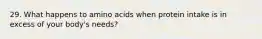 29. What happens to amino acids when protein intake is in excess of your body's needs?