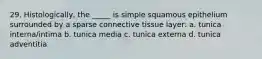 29. Histologically, the _____ is simple squamous epithelium surrounded by a sparse connective tissue layer: a. tunica interna/intima b. tunica media c. tunica externa d. tunica adventitia