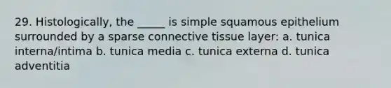 29. Histologically, the _____ is simple squamous epithelium surrounded by a sparse connective tissue layer: a. tunica interna/intima b. tunica media c. tunica externa d. tunica adventitia