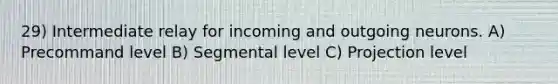 29) Intermediate relay for incoming and outgoing neurons. A) Precommand level B) Segmental level C) Projection level