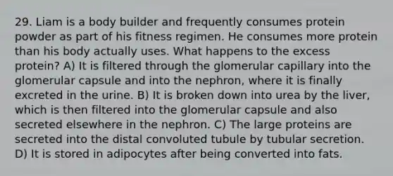 29. Liam is a body builder and frequently consumes protein powder as part of his fitness regimen. He consumes more protein than his body actually uses. What happens to the excess protein? A) It is filtered through the glomerular capillary into the glomerular capsule and into the nephron, where it is finally excreted in the urine. B) It is broken down into urea by the liver, which is then filtered into the glomerular capsule and also secreted elsewhere in the nephron. C) The large proteins are secreted into the distal convoluted tubule by tubular secretion. D) It is stored in adipocytes after being converted into fats.