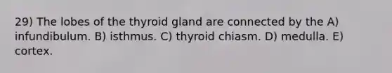 29) The lobes of the thyroid gland are connected by the A) infundibulum. B) isthmus. C) thyroid chiasm. D) medulla. E) cortex.