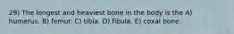 29) The longest and heaviest bone in the body is the A) humerus. B) femur. C) tibia. D) fibula. E) coxal bone.