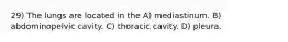 29) The lungs are located in the A) mediastinum. B) abdominopelvic cavity. C) thoracic cavity. D) pleura.