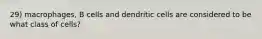 29) macrophages, B cells and dendritic cells are considered to be what class of cells?