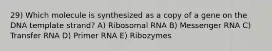 29) Which molecule is synthesized as a copy of a gene on the DNA template strand? A) Ribosomal RNA B) Messenger RNA C) Transfer RNA D) Primer RNA E) Ribozymes